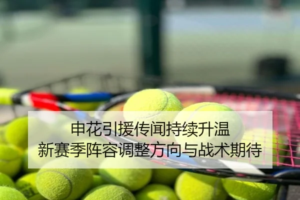 申花引援传闻持续升温 新赛季阵容调整方向与战术期待