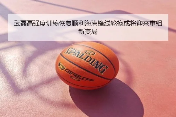 武磊高强度训练恢复顺利海港锋线轮换或将迎来重组新变局